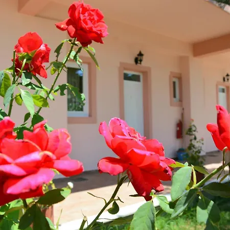 Red Rose Garden *